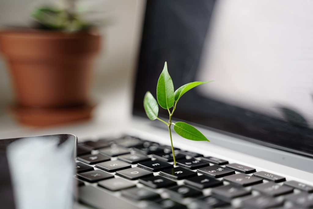 Sustainability will be a must for companies in 2022